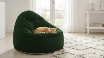 Chat roux qui dort paisiblement sur un grand pouf vert émeraude en velours côtelé dans un salon moderne et épuré.