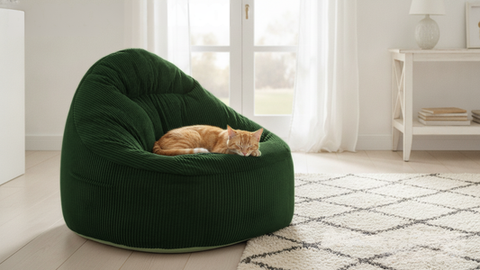 Chat roux qui dort paisiblement sur un grand pouf vert émeraude en velours côtelé dans un salon moderne et épuré.